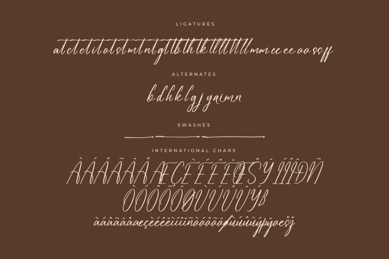 amethykan-modern-freestyle-script