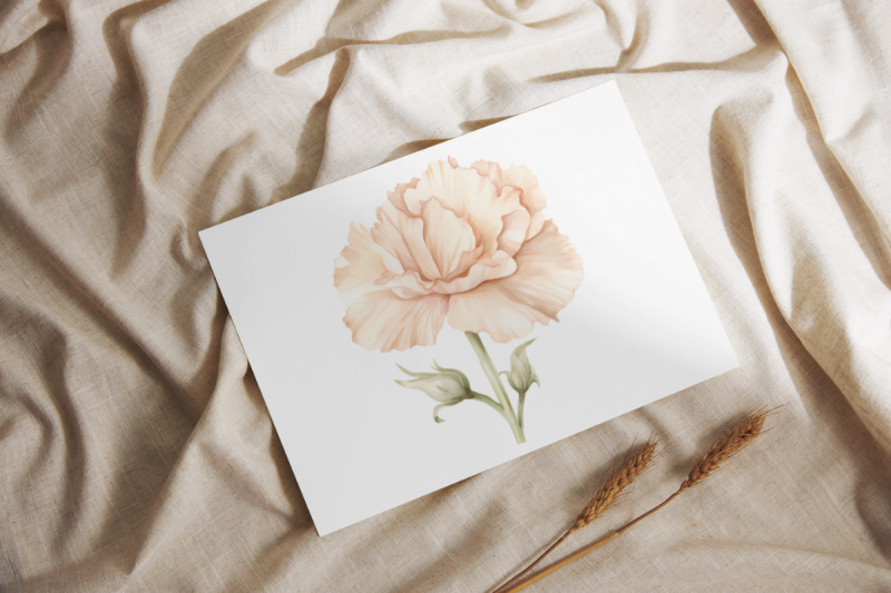 carnation-spring-floral-watercolor-sublimation-png