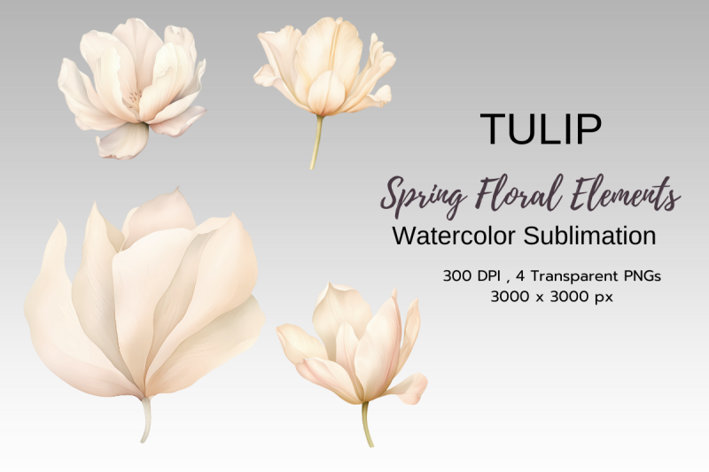 spring-floral-watercolor-sublimation-clipart