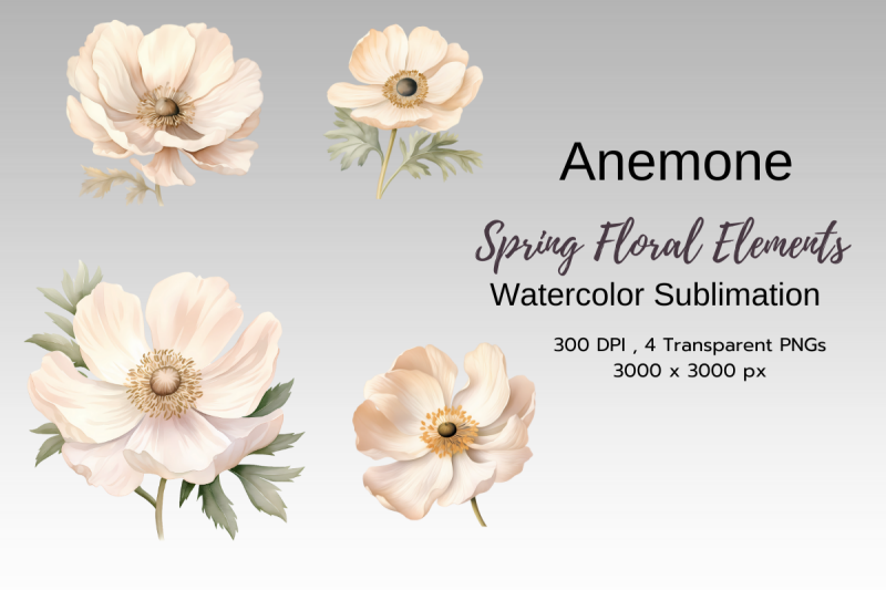 spring-floral-watercolor-sublimation-clipart