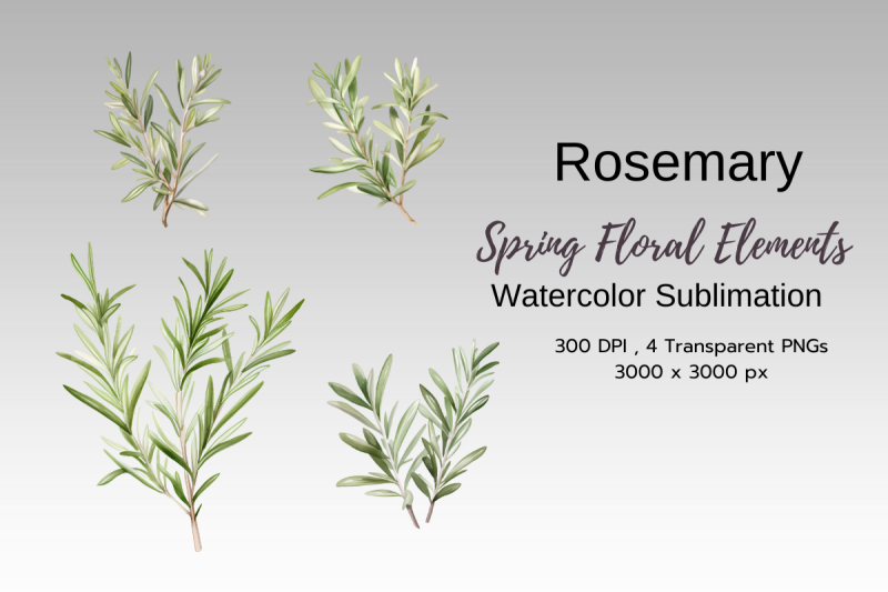 spring-floral-watercolor-sublimation-clipart