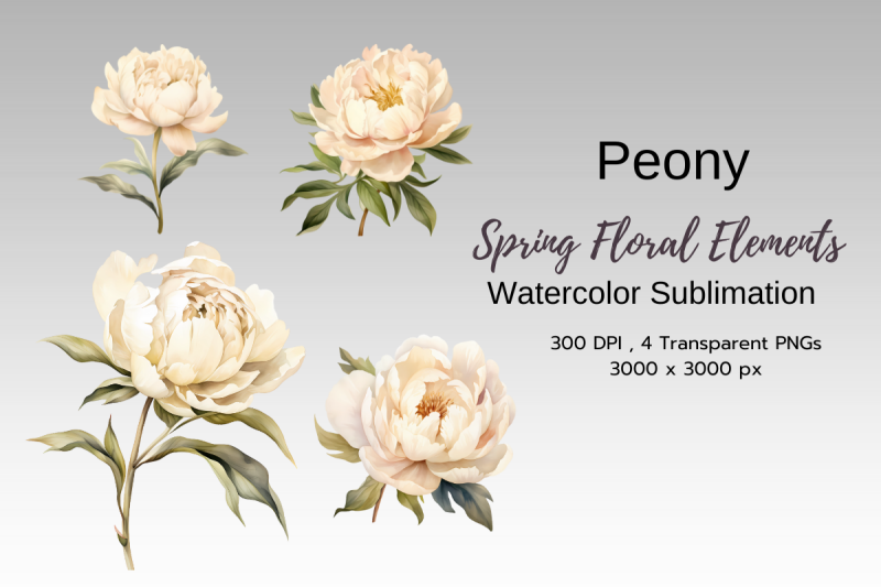 spring-floral-watercolor-sublimation-clipart