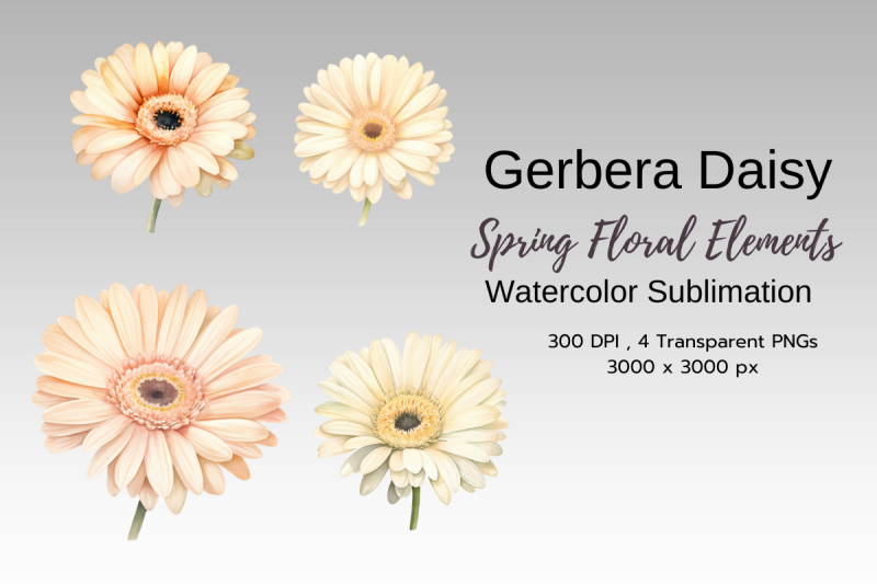 spring-floral-watercolor-sublimation-clipart