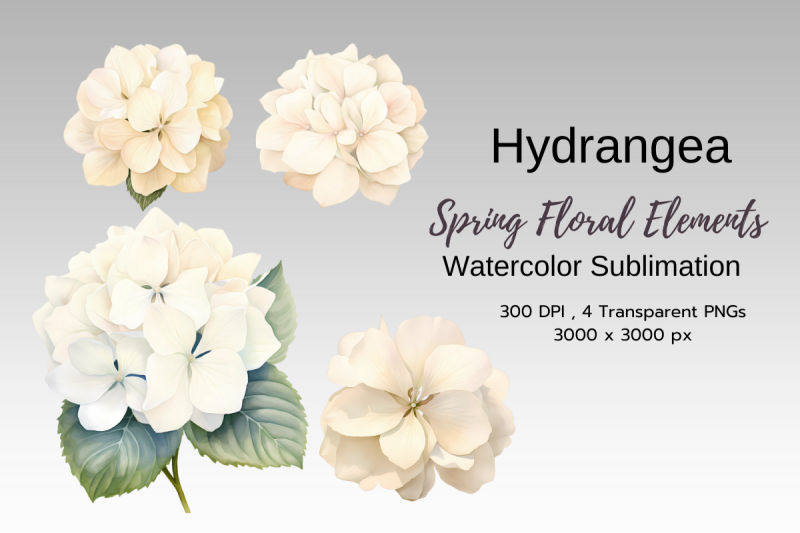 spring-floral-watercolor-sublimation-clipart