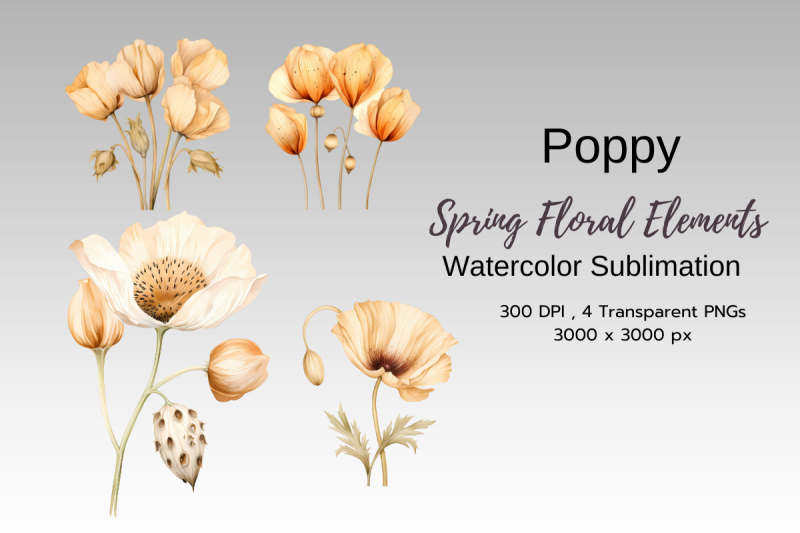 spring-floral-watercolor-sublimation-clipart