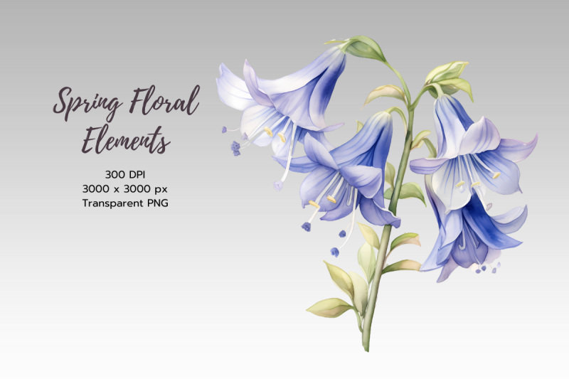 spring-floral-watercolor-sublimation-clipart