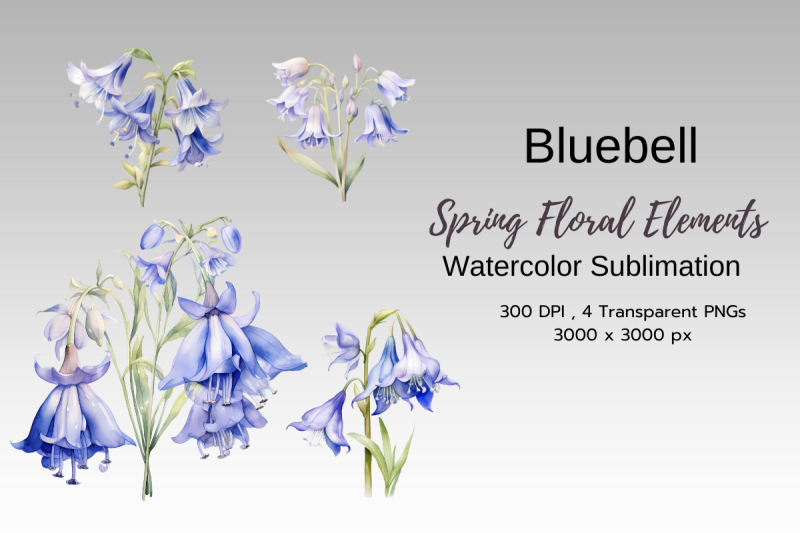 spring-floral-watercolor-sublimation-clipart