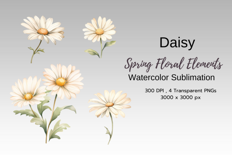 spring-floral-watercolor-sublimation-clipart