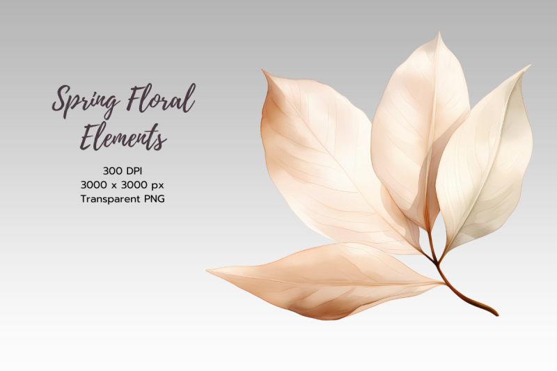 spring-elements-clipart-png