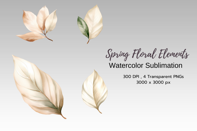 spring-elements-clipart-png