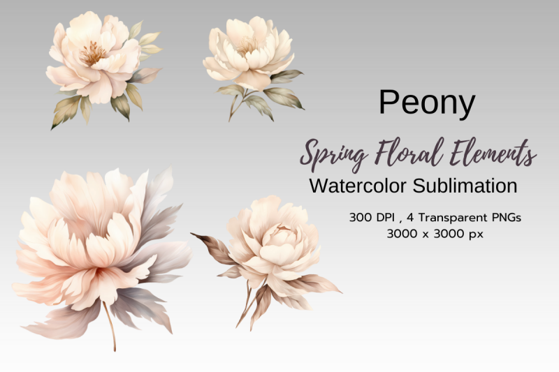 spring-floral-watercolor-sublimation-clipart-png