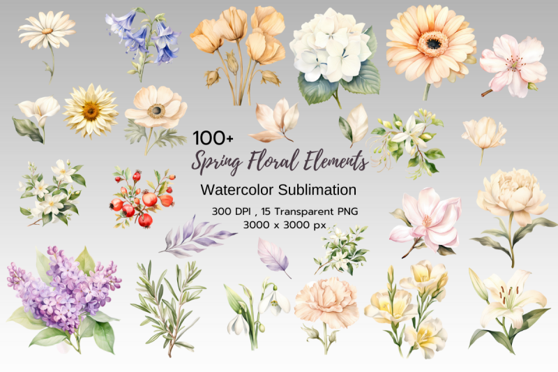 spring-floral-elements-clipart-bundle