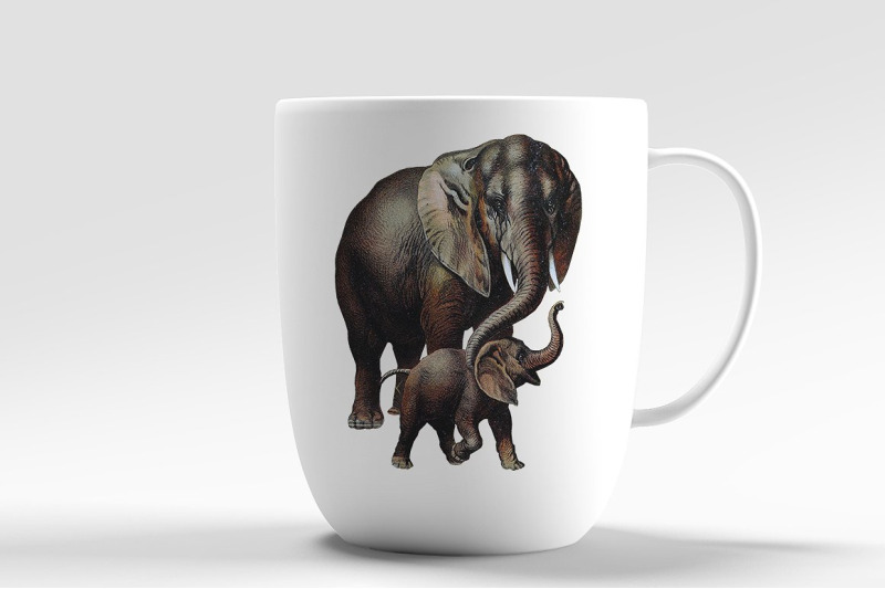 elephant-clipart-african-elephant