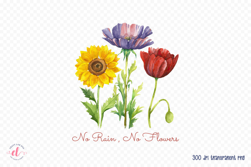 no-rain-no-flowers-flower-quote-sublimation