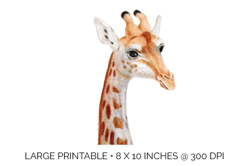 giraffe-clipart