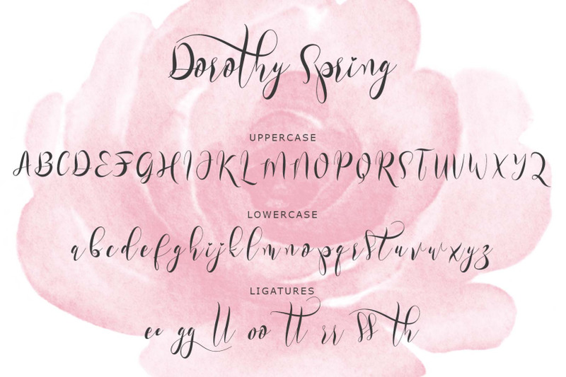 dorothy-spring