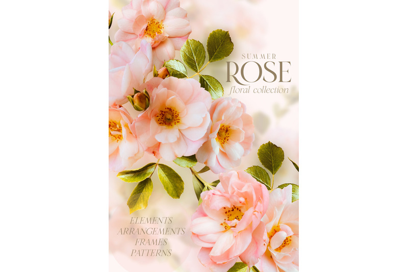 summer-wild-pink-rose-floral-graphics