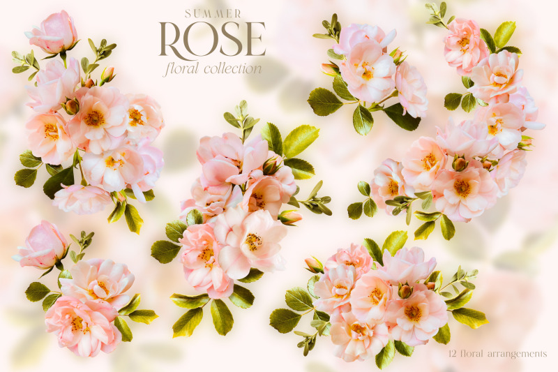 summer-wild-pink-rose-floral-graphics