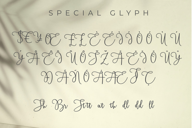 belgrafi-signature-script-fonts