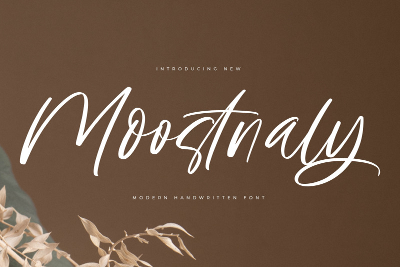 moostnaly-modern-handwritten-font