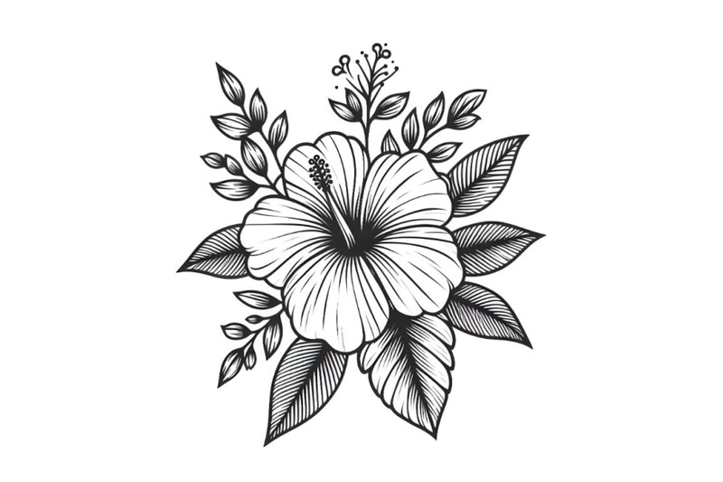 hibiscus-flower-simple-line-drawing