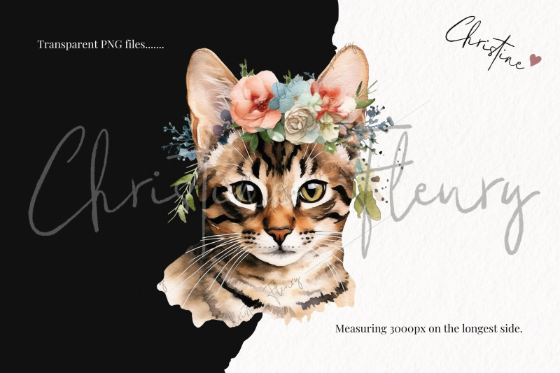 cat-breeds-with-flower-crowns-part-2