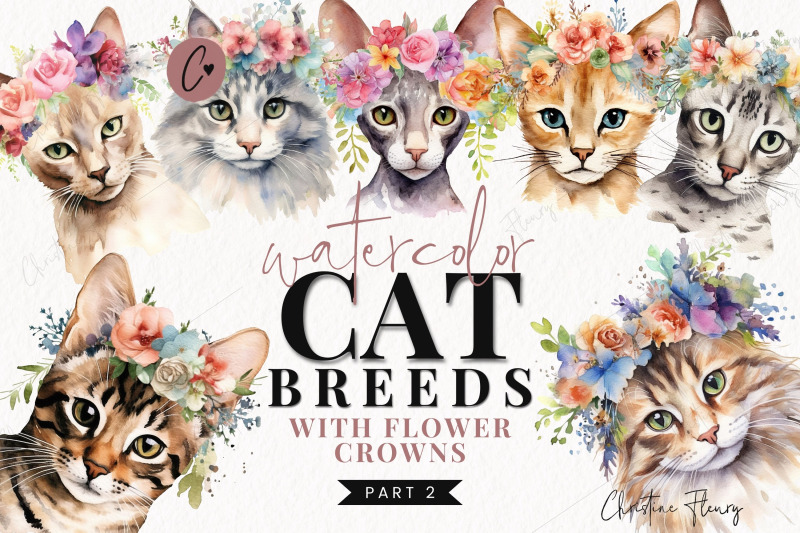 cat-breeds-with-flower-crowns-part-2