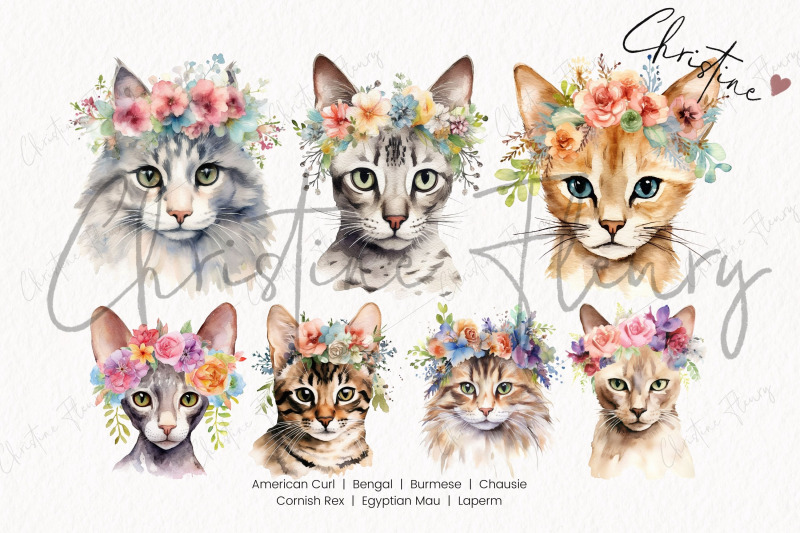 cat-breeds-with-flower-crowns-part-2