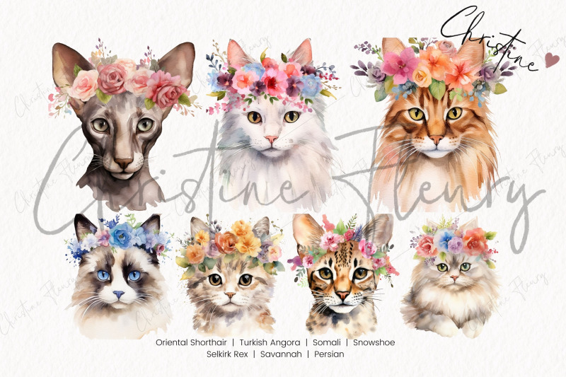 cat-breeds-with-flower-crowns-part-3