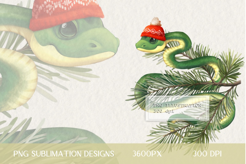 snake-with-fir-branch-png-sublimation-design