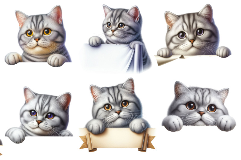 peeking-cat-clipart-bundle