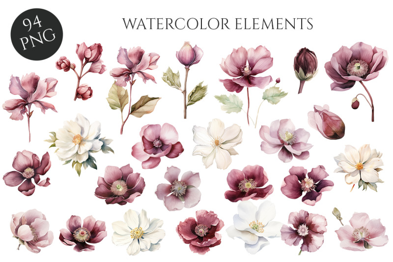 watercolor-violet-history-floral