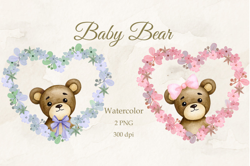 portrait-of-a-baby-bear-boy-girl-png