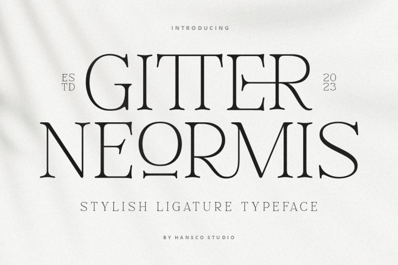 gitter-neormis-modern-serif-font