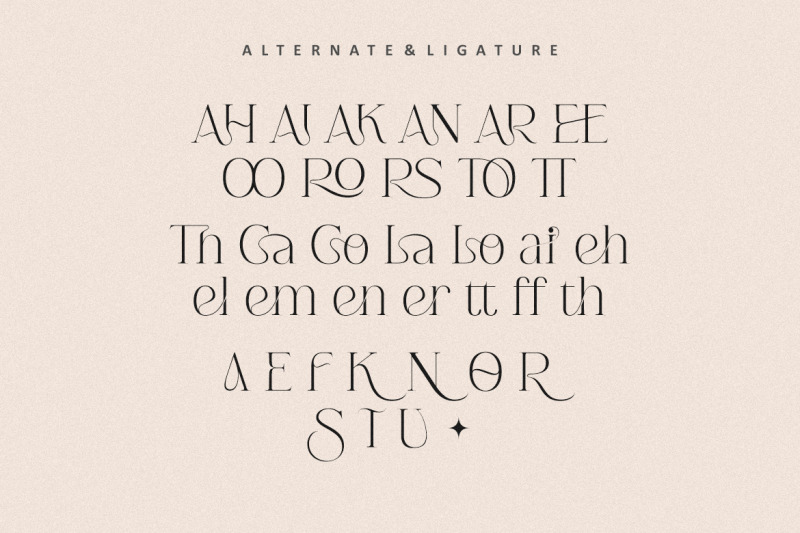 berlys-serif-modern-font
