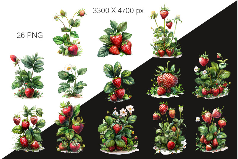 strawberry-clipart-png