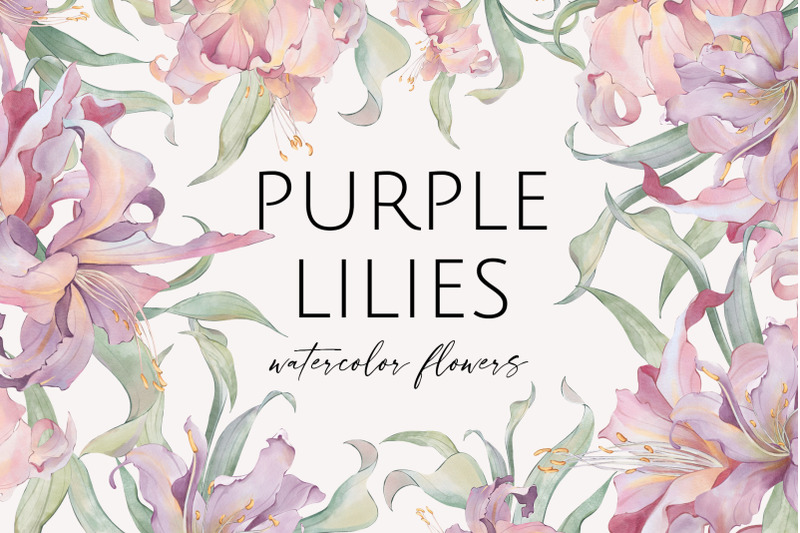 purple-lilies-watercolor-flowers