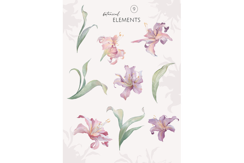 purple-lilies-watercolor-flowers
