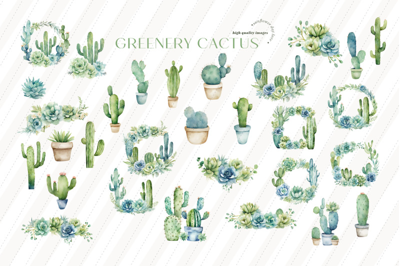 watercolor-greenery-cactus-clipart-cactus-clipart-sage-green-floral