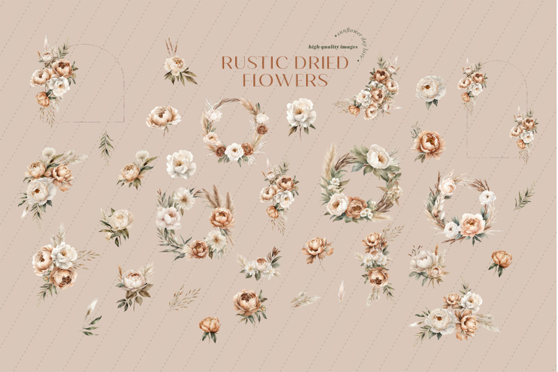 rustic-dried-floral-pampas-grass-clipart-white-dried-flowers