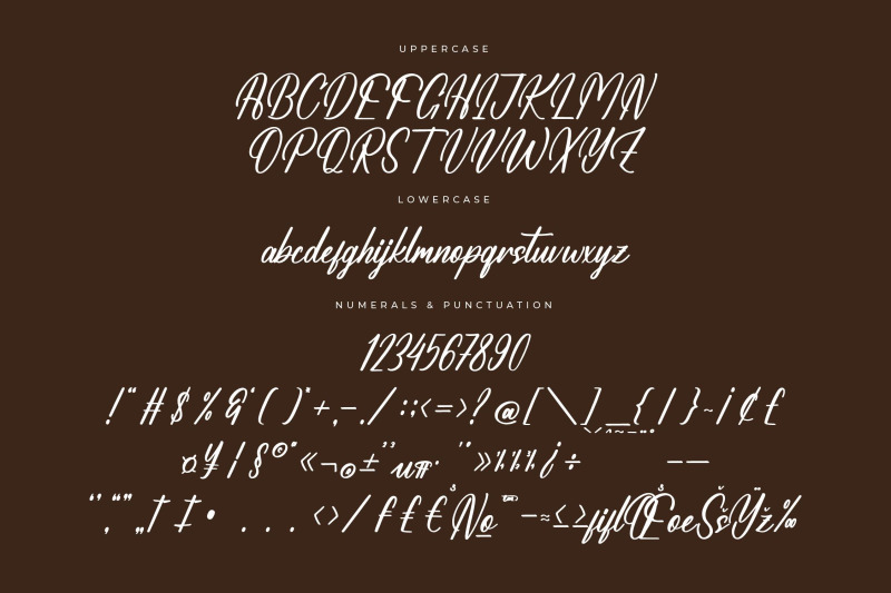 amathery-bieckmon-modern-bold-script