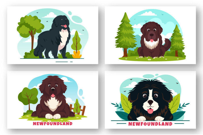 10-newfoundland-dog-illustration