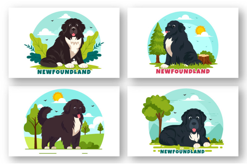 10-newfoundland-dog-illustration