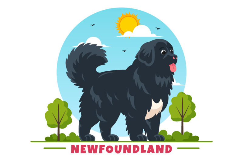 10-newfoundland-dog-illustration