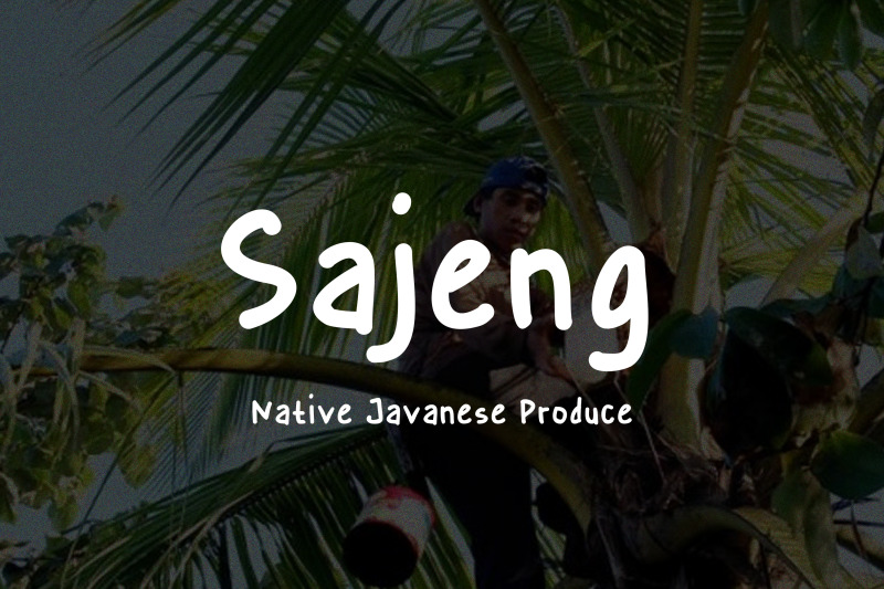 sajeng-font