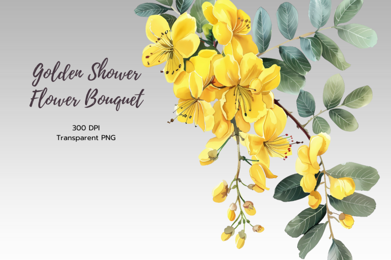 cassia-golden-shower-watercolor-sublimation-clipart-pack