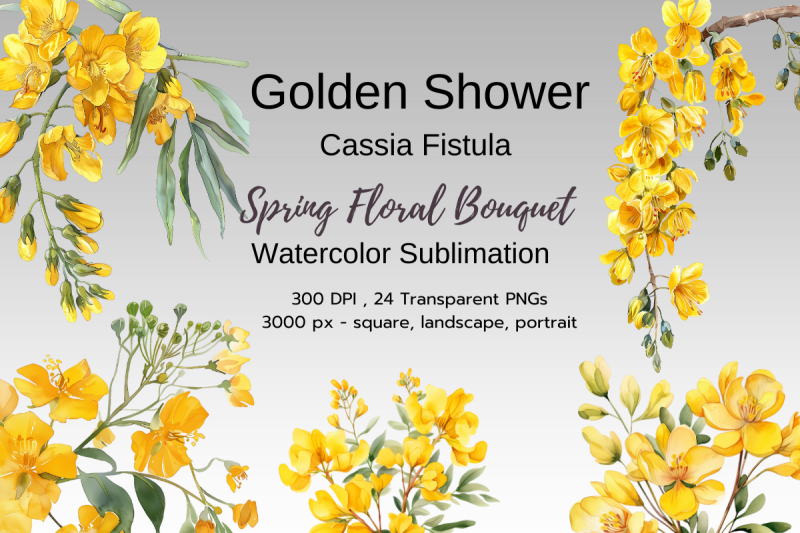 cassia-golden-shower-watercolor-sublimation-clipart-pack