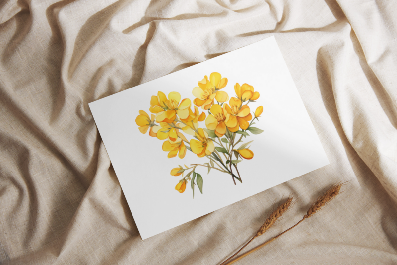 cassia-golden-shower-watercolor-sublimation-clipart-pack