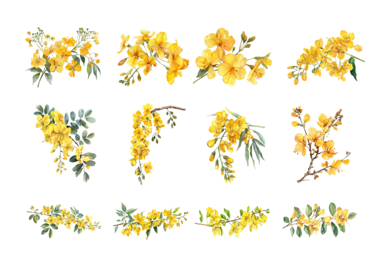 cassia-golden-shower-watercolor-sublimation-clipart-pack