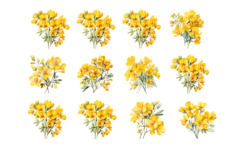 cassia-golden-shower-watercolor-sublimation-clipart-pack